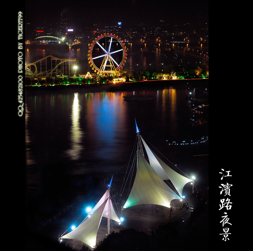 【温州风光】江滨路夜景 摄影 老虎也疯狂