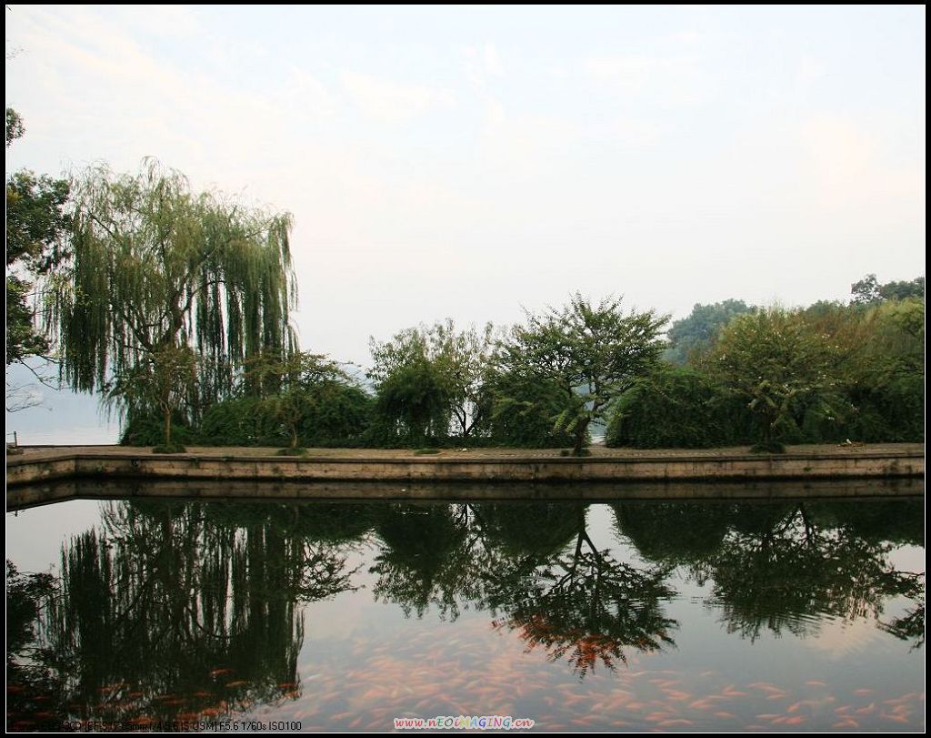 西湖美景 摄影 笑面人生