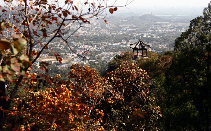 香山红叶（二） 摄影 古都侠影