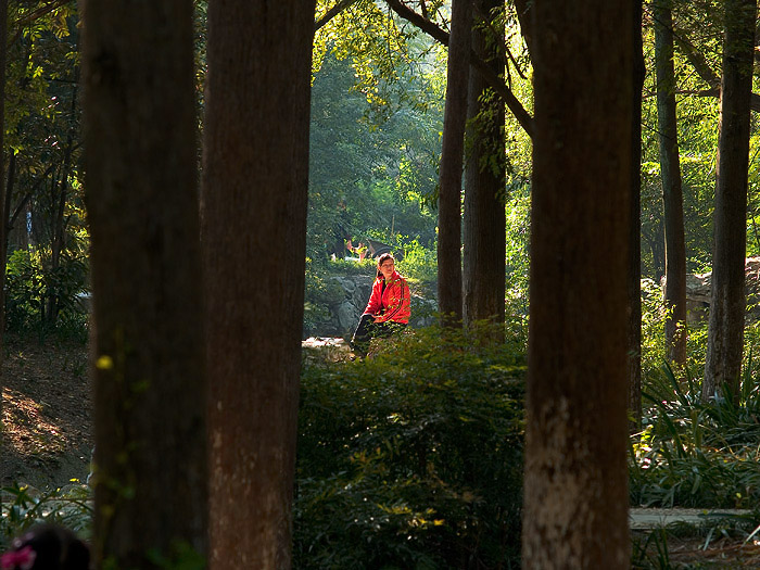 公园的早晨（2） 摄影 jiarong