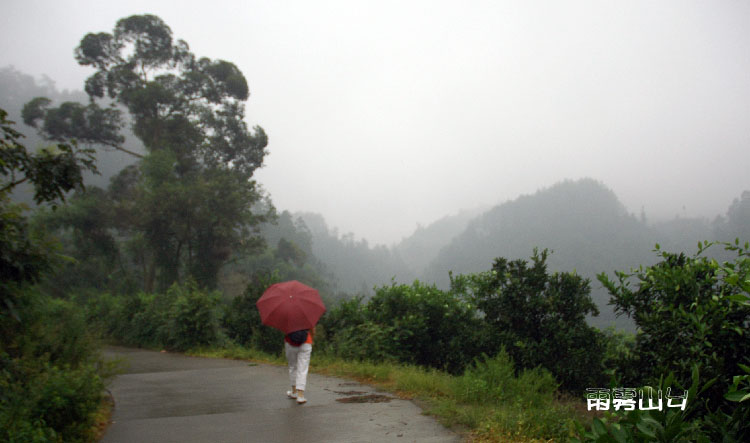 雨雾山乡 摄影 黄昏赏飞霞