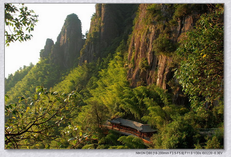 南尖岩拾零（3） 摄影 千岛湖