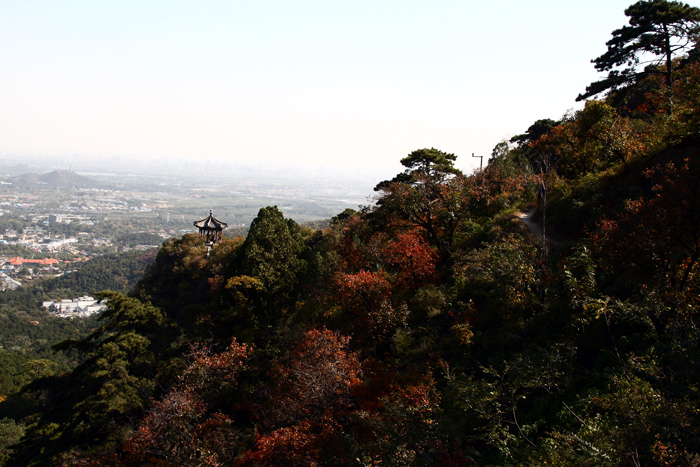 香山红叶（三） 摄影 古都侠影