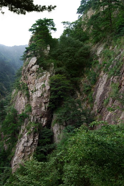 明堂山小景 摄影 茶之语