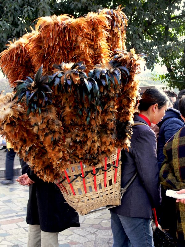 无题 摄影 幺筒