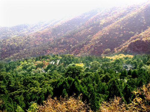 香山一瞥 摄影 卿卿