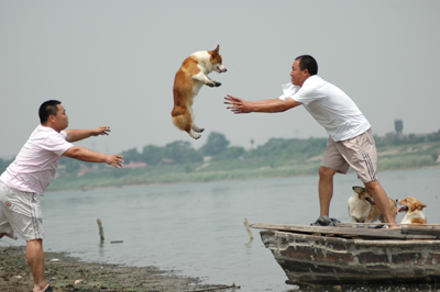 渡河 摄影 江流儿