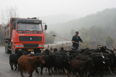 同走致富路 摄影 路克