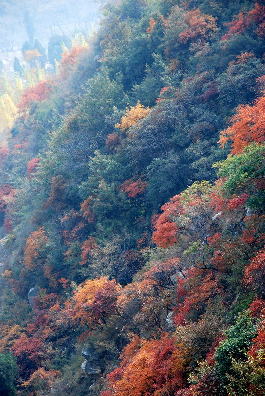 嵩山秋色 摄影 嵩风