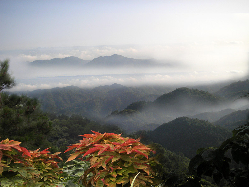 薤山云海 摄影 厨师解围腰