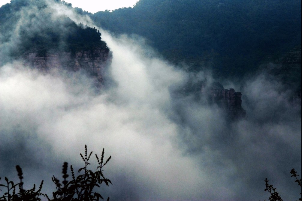 漫步云端 摄影 秋之阳