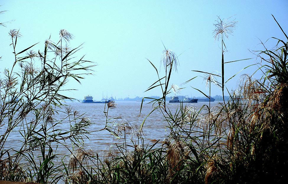 长江风光 摄影 彼岸的风景