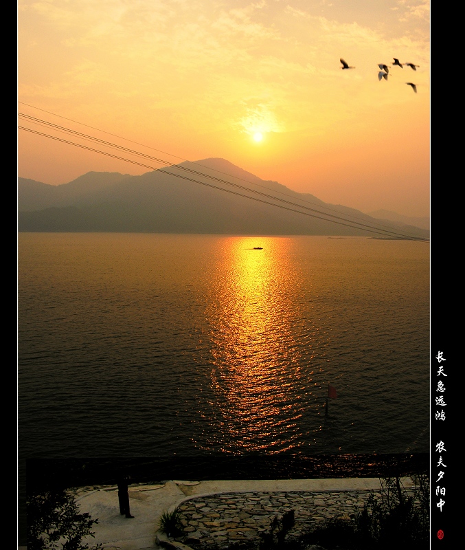 长天急远鸿  农夫夕阳中 摄影 山魂海魄