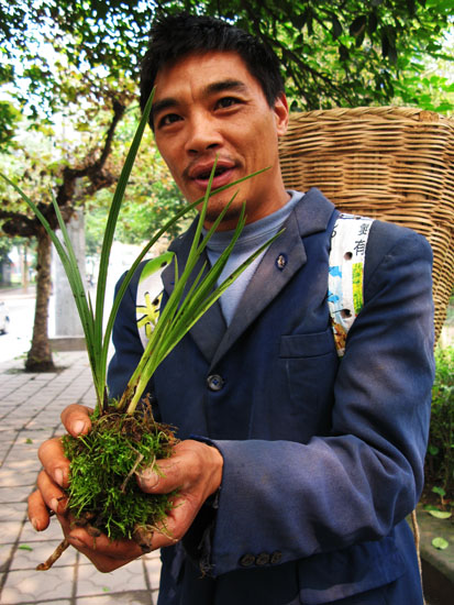 卖兰花的云南农民 摄影 快乐瞬间