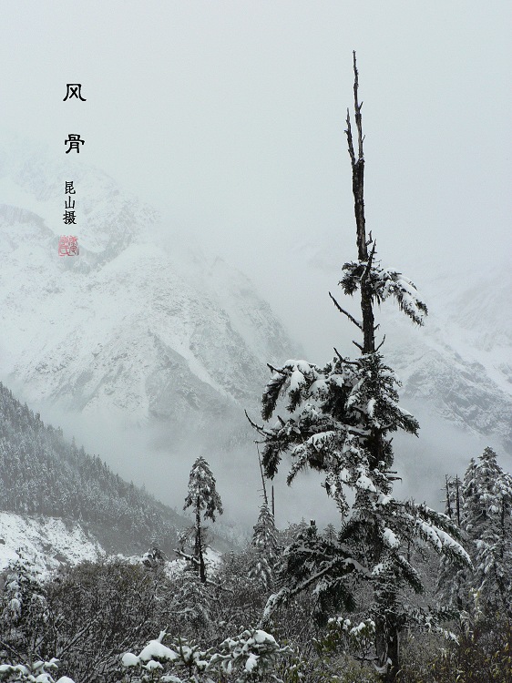 风骨 摄影 康巴昆山