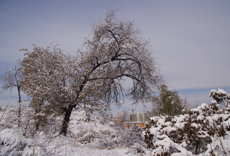 山城雪淞 摄影 郑毅