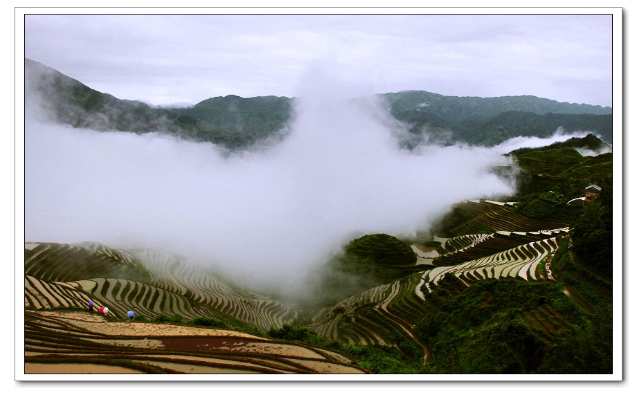 龙 脊 掠 影 ≤1≥ 摄影 阳朔美景