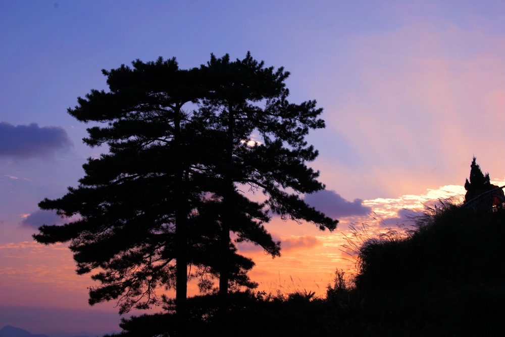 夕照 摄影 温馨