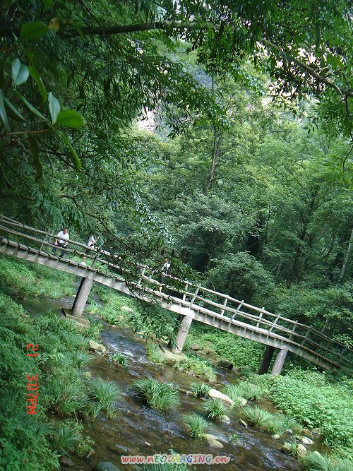 山里 摄影 再见千岁