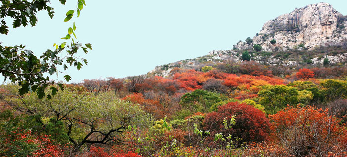 临朐石门坊红叶（一） 摄影 海之旅