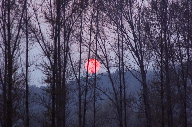 夕阳 摄影 塞北雪