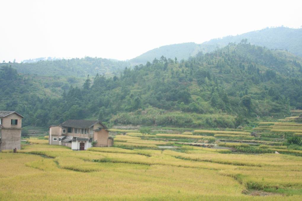 田园风光 摄影 鼓浪屿