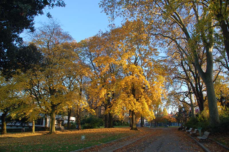 l'automne de Parc Montsouris 摄影 4tt