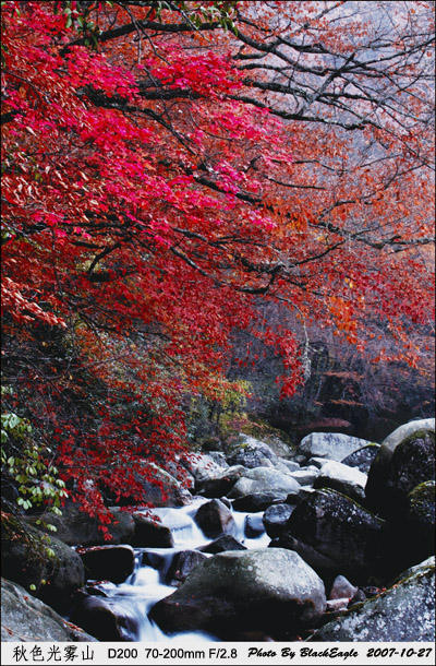 秋色光雾山 摄影 黑鹰