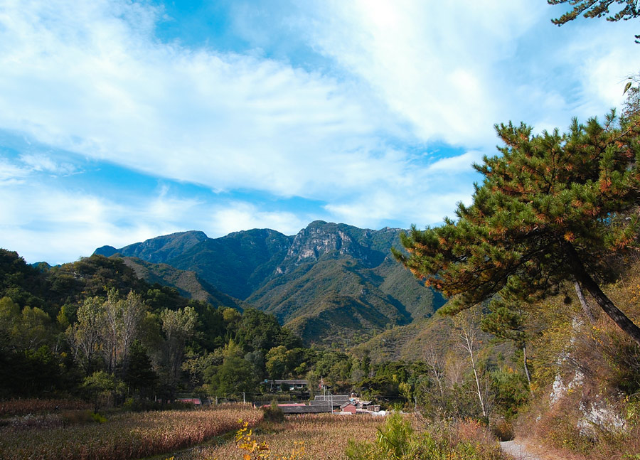 山坳 - 藏不住的秋色 摄影 苗思