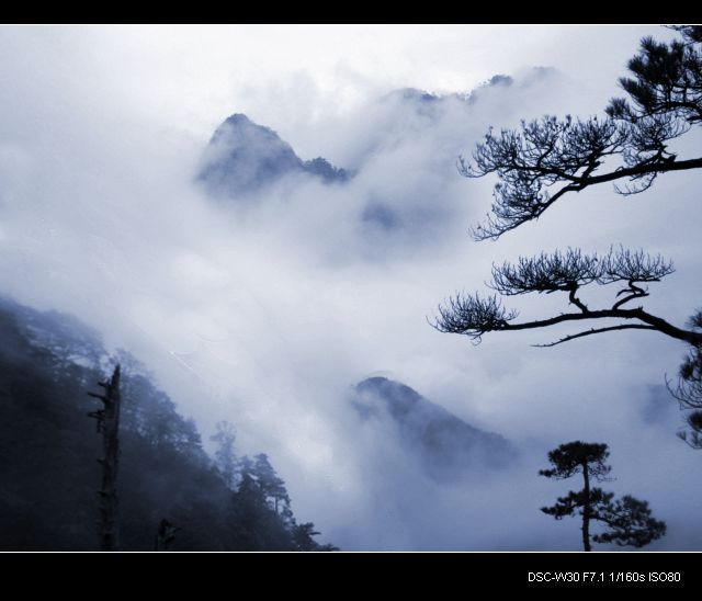 雾中山景 摄影 萧萧枫树林