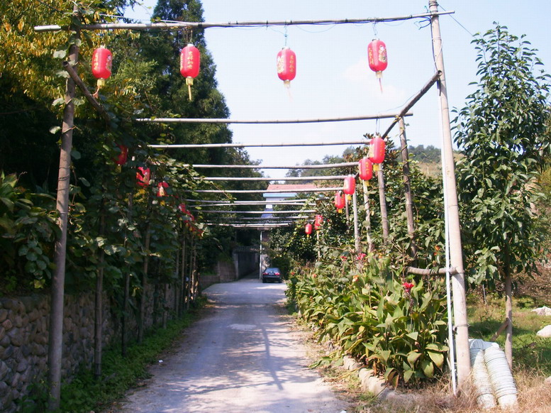 迎宾大道 摄影 伊依矣