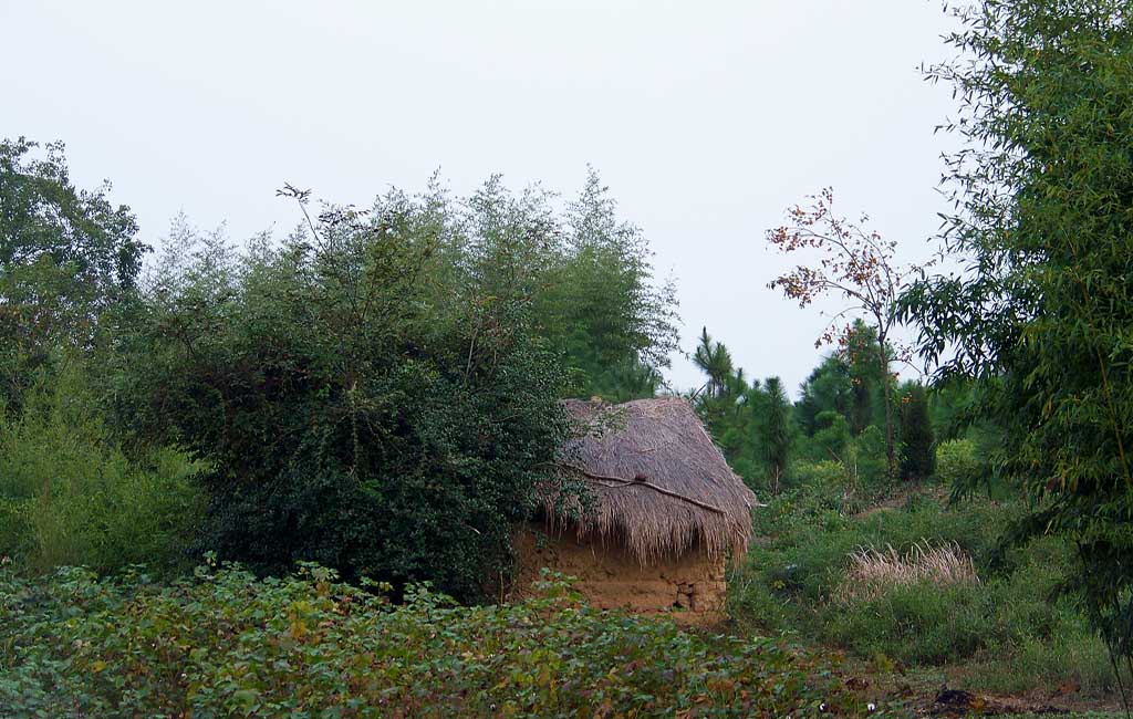 小屋 摄影 花言巧语