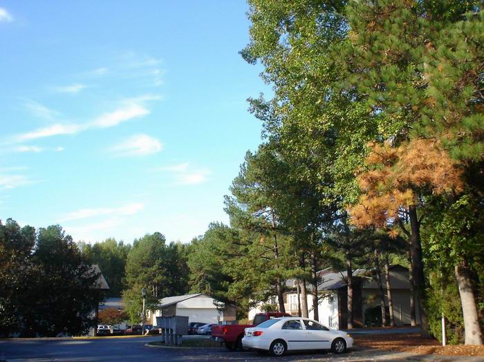 Autumn in north Carolina 摄影 yuansheng47