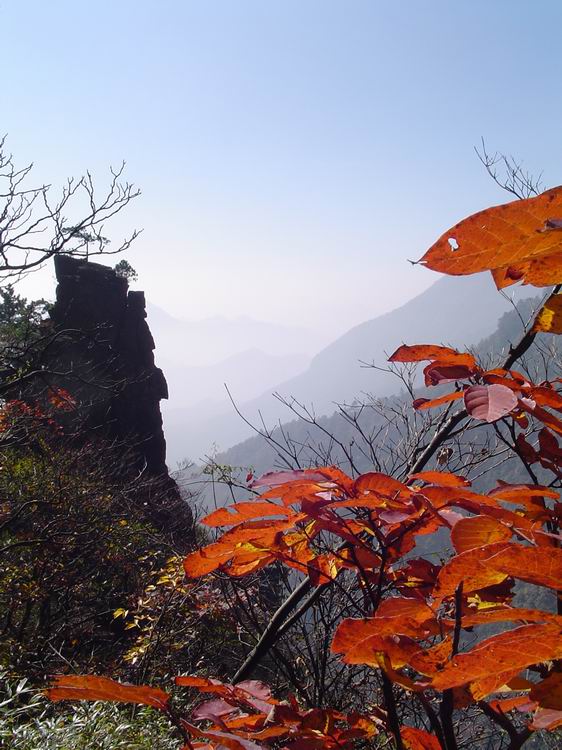 红叶映山峦 摄影 荒郊野外