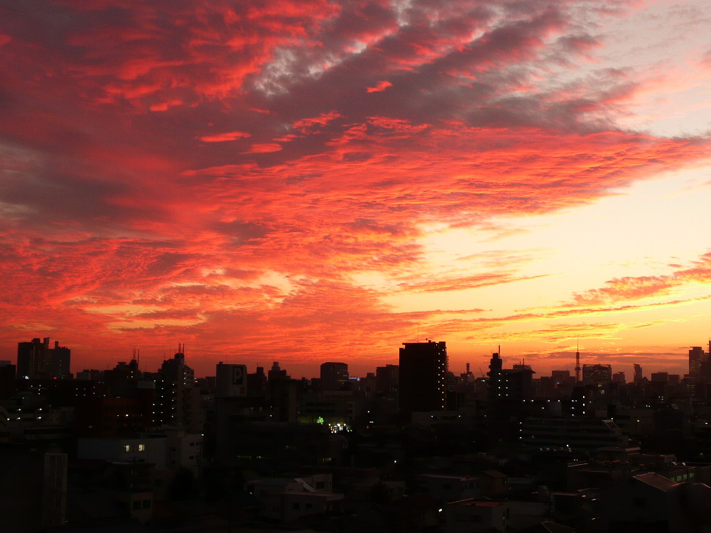 夕阳似火的都市 摄影 明日香