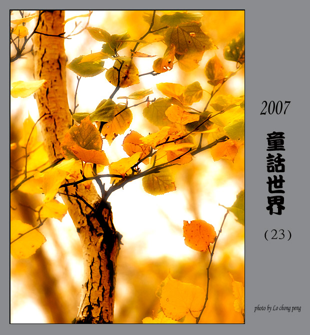 2007童话世界(23) 摄影 M小丙