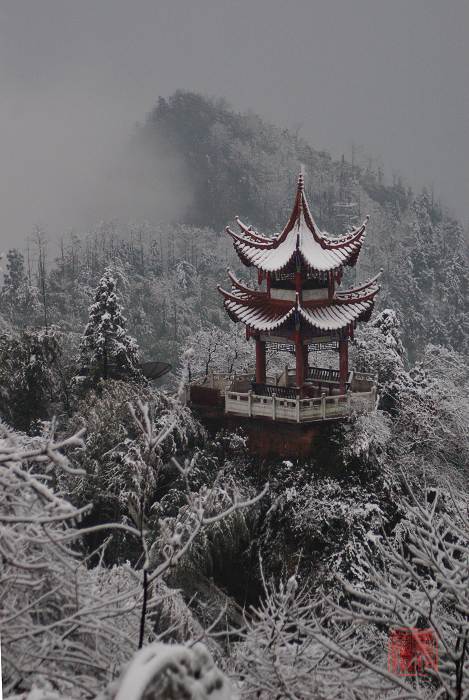 丹山之七--<<丹凤避雪留亭空>> 摄影 灵枝草