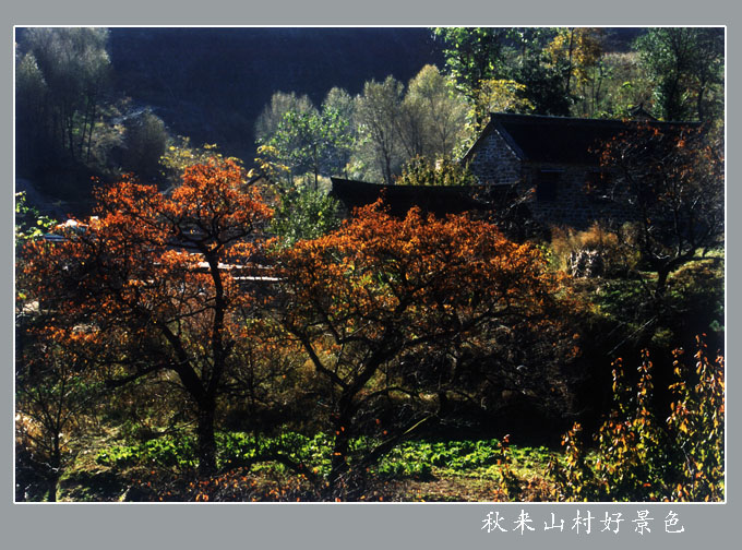 秋来山村好景色 摄影 半影老人