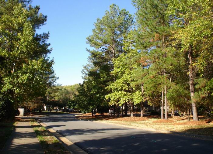 Autumn in North Carolina -2 摄影 yuansheng47