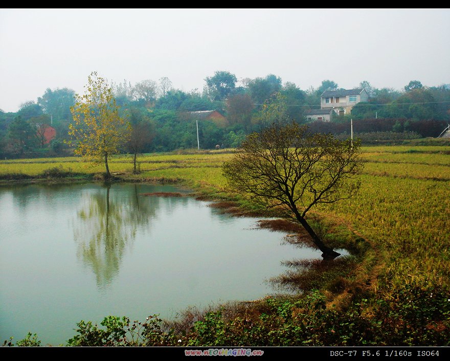 秋色秋景 摄影 hfwang