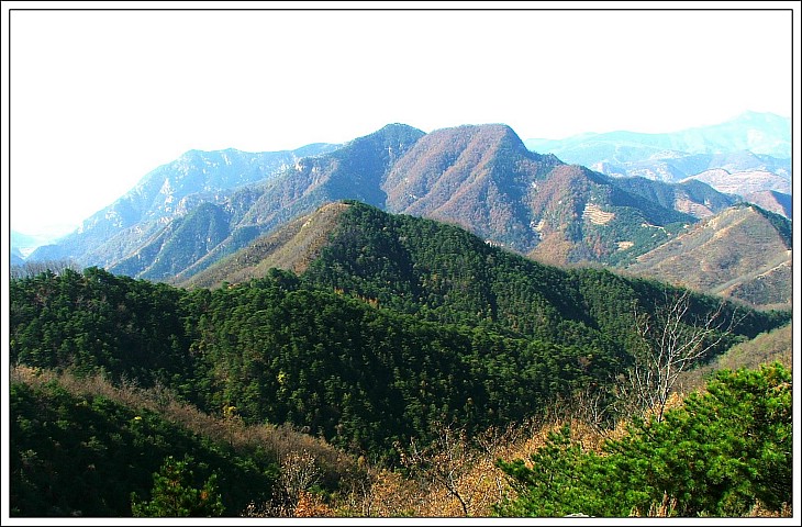 深秋的泰山 摄影 高原大鹏