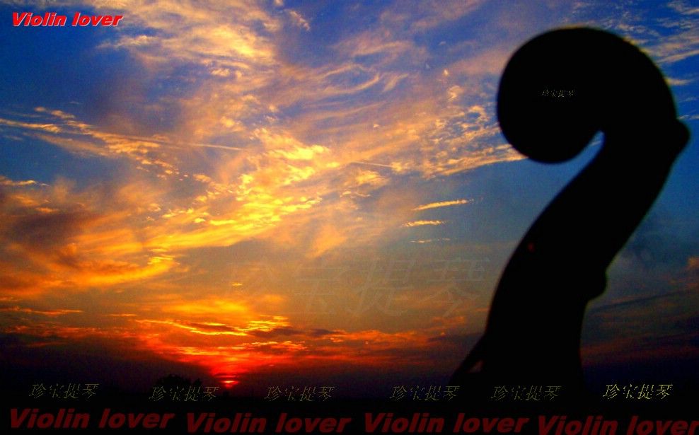 Violin lover 摄影 小提琴情人