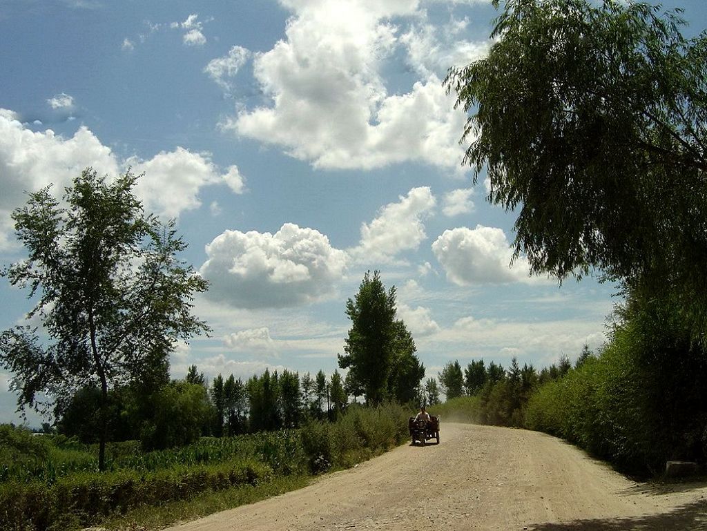 乡村公路 摄影 贵州神龙