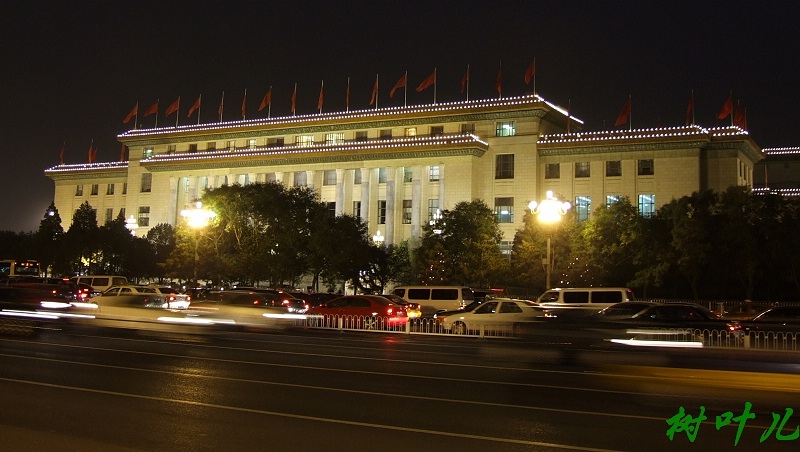 人民大会堂夜景 摄影 树叶儿