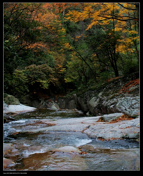 光雾山 摄影 伙伴