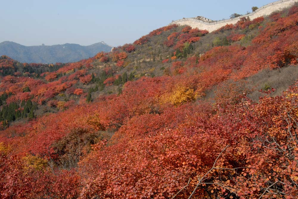 长城 红叶（10） 摄影 客船