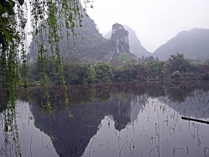 初春 摄影 吴云良