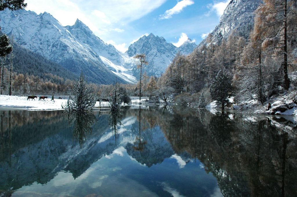 深秋-----毕棚沟 摄影 巴岳山