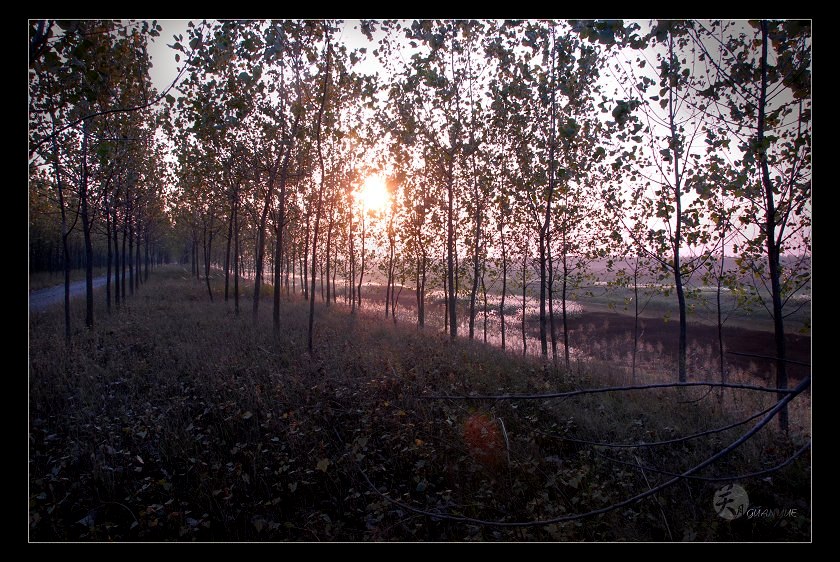 夕阳余辉 摄影 关关月月