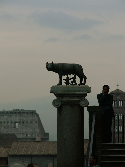 Roma 摄影 芝加哥